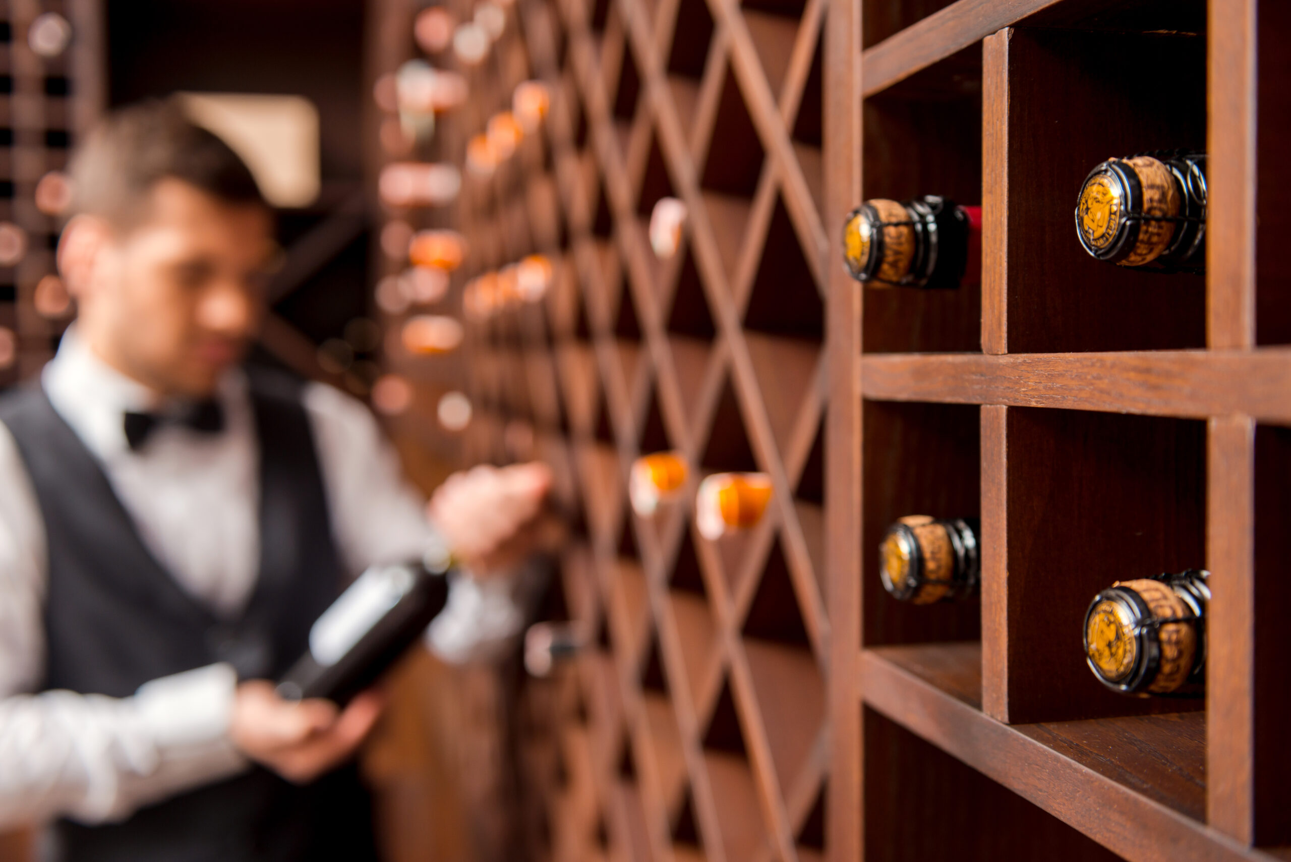 dumbwaiters, wine cellars, dumbwaiters for wine cellar